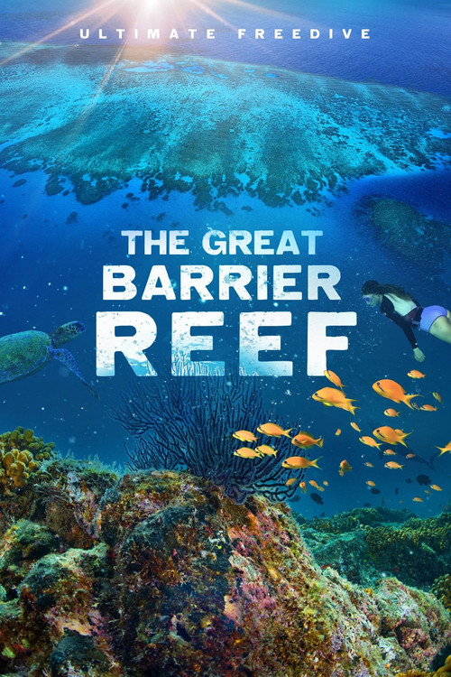 Постер: Great Barrier Reef 4K