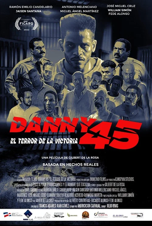 Постер: Danny 45