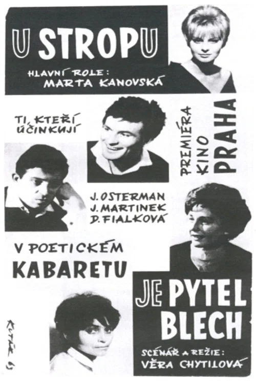 Постер: Потолок
