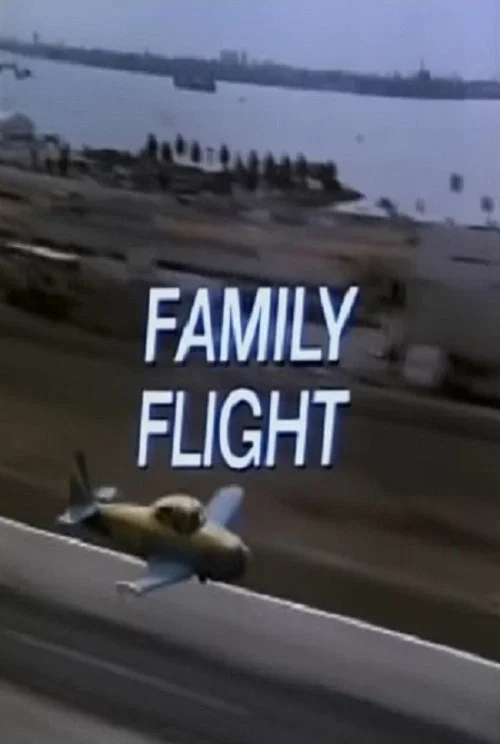 Постер: Family Flight