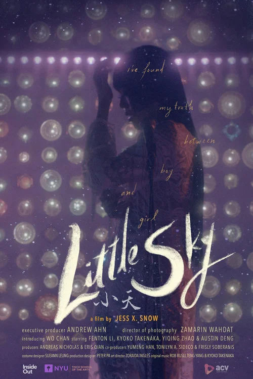 Постер: Little Sky