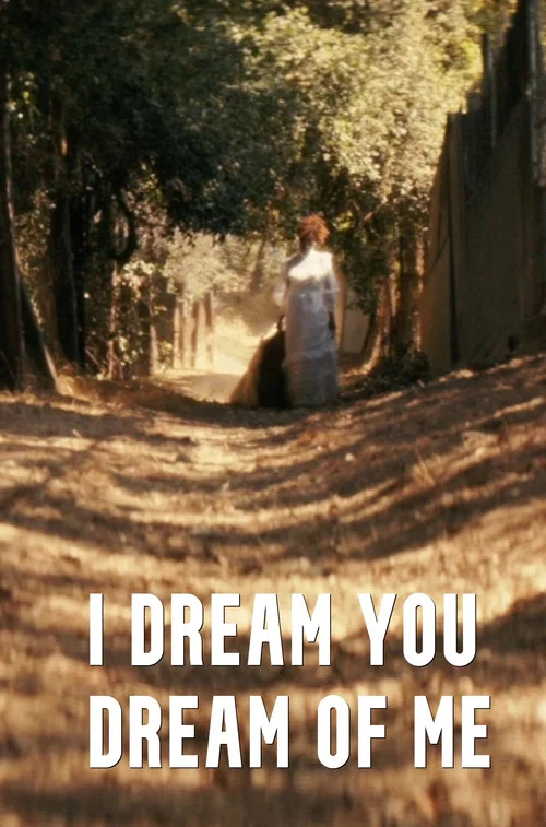 Постер: I Dream You Dream of Me