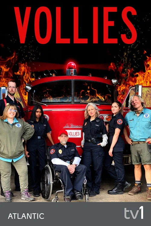 Постер: Vollies