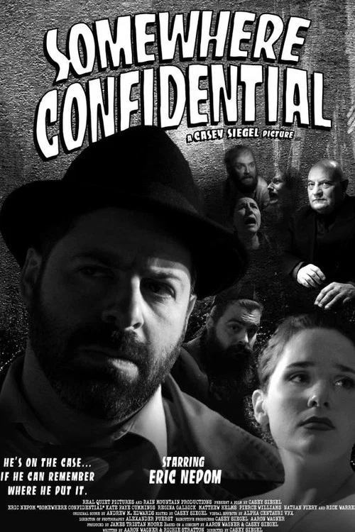 Постер: Somewhere Confidential