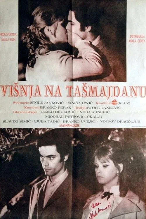 Постер: Вишня на Ташмайдане