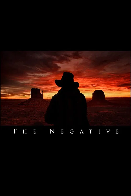 Постер: The Negative