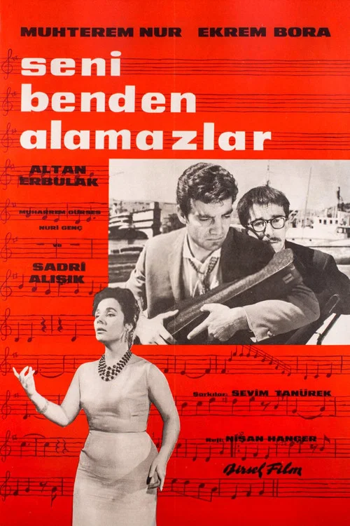 Постер: Seni benden alamazlar