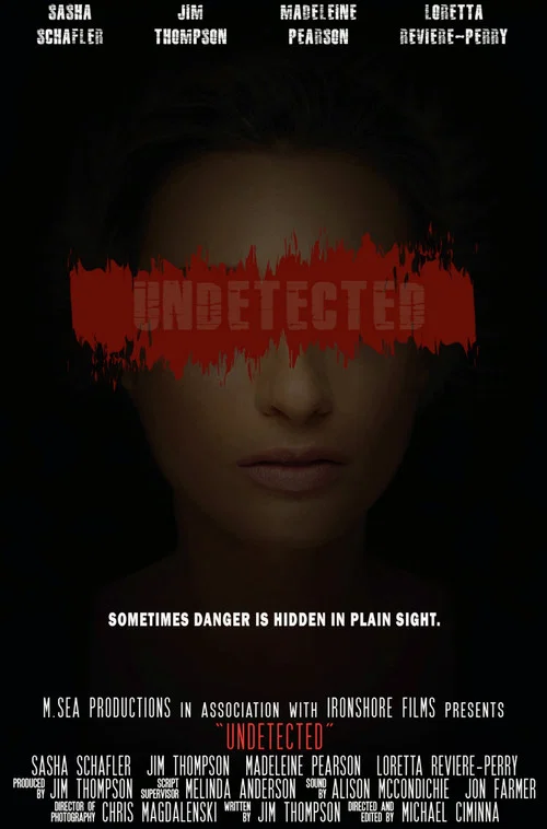 Постер: Undetected