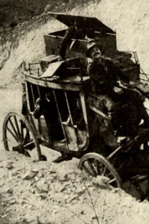 Постер: The Driver of the Deadwood Coach