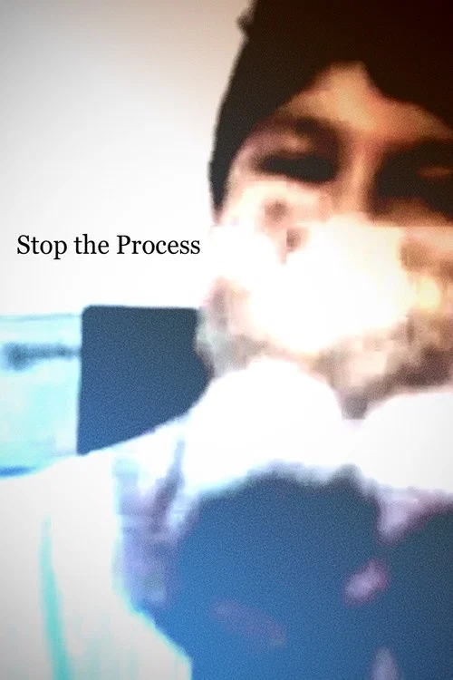 Постер: The Process