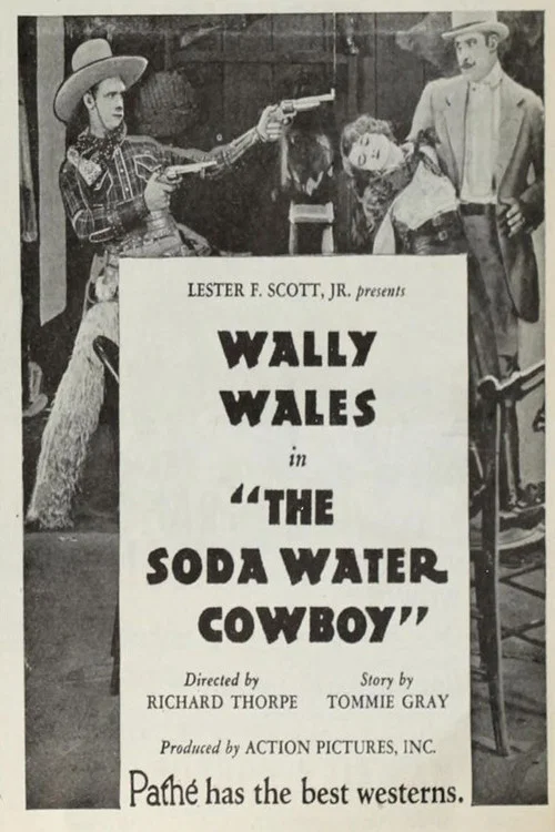 Постер: The Soda Water Cowboy