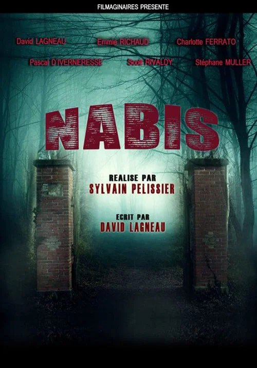 Постер: Nabis