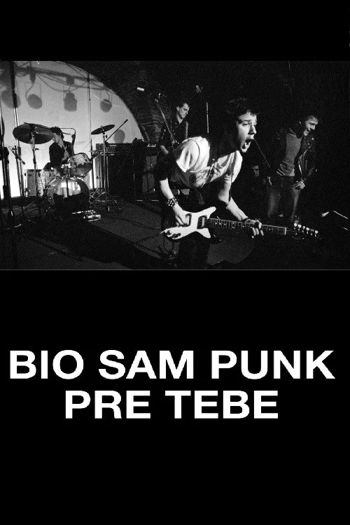 Постер: Bio sam Punk pre tebe