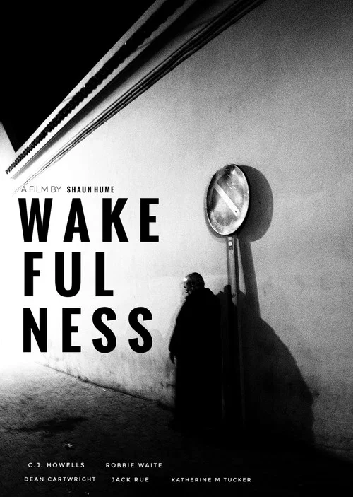 Постер: Wakefulness