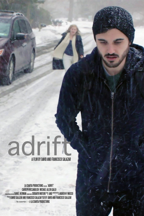 Постер: Adrift