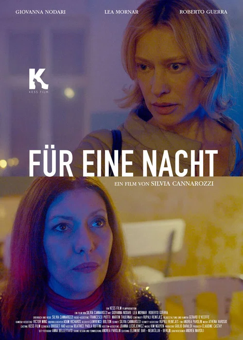 Постер: Für eine Nacht
