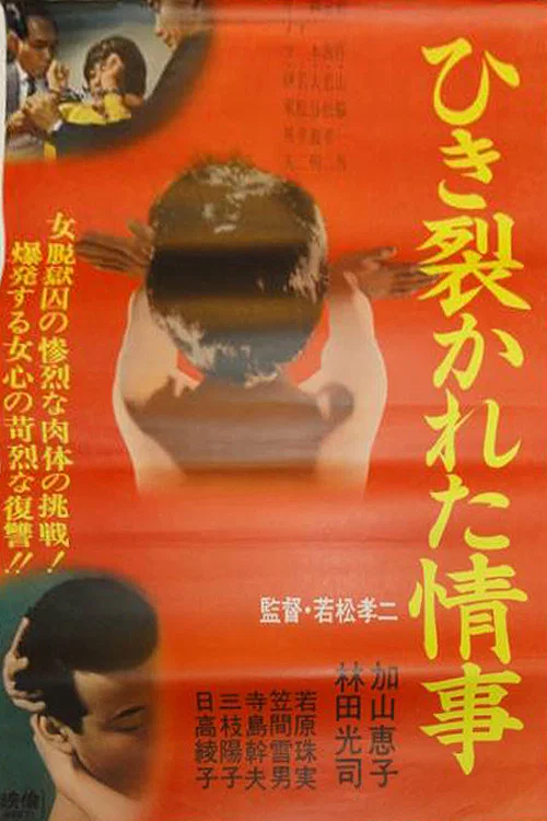 Постер: Hikisakareta jôji