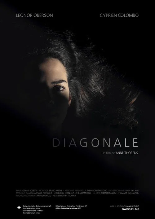 Постер: Diagonale