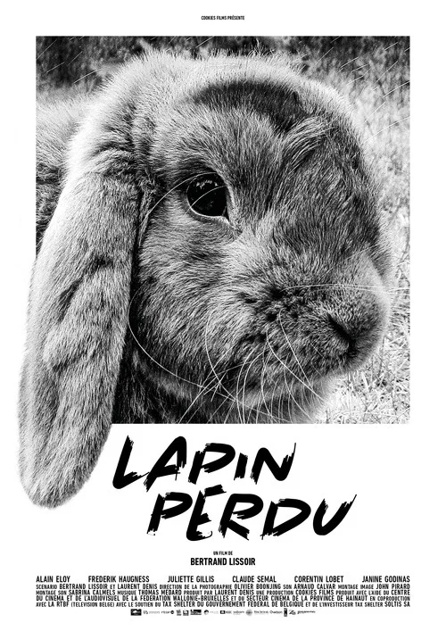 Постер: Lapin perdu