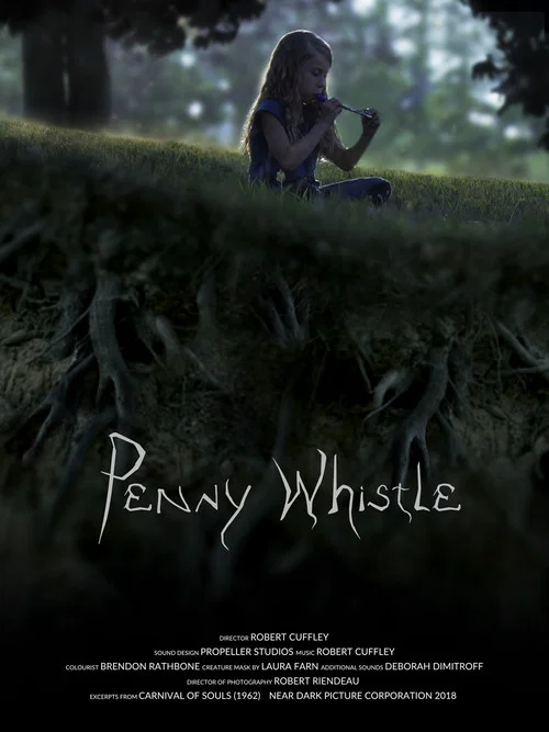 Постер: Penny Whistle