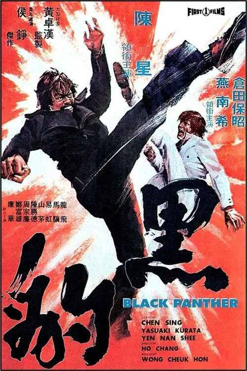 Постер: Black Kung Fu