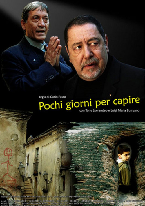 Постер: Pochi giorni per capire