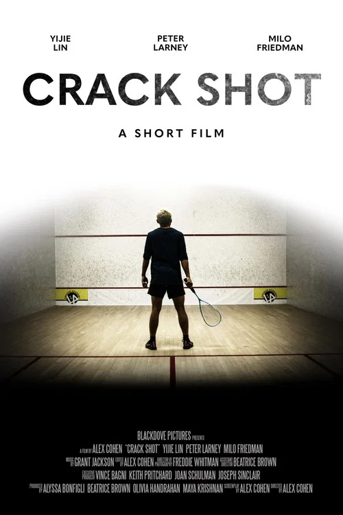 Постер: Crack Shot