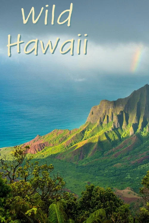 Постер: Wild Hawaii