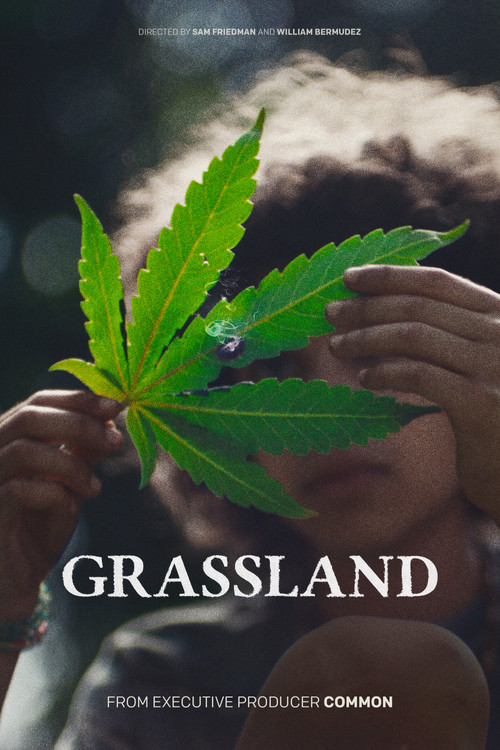 Постер: Grassland