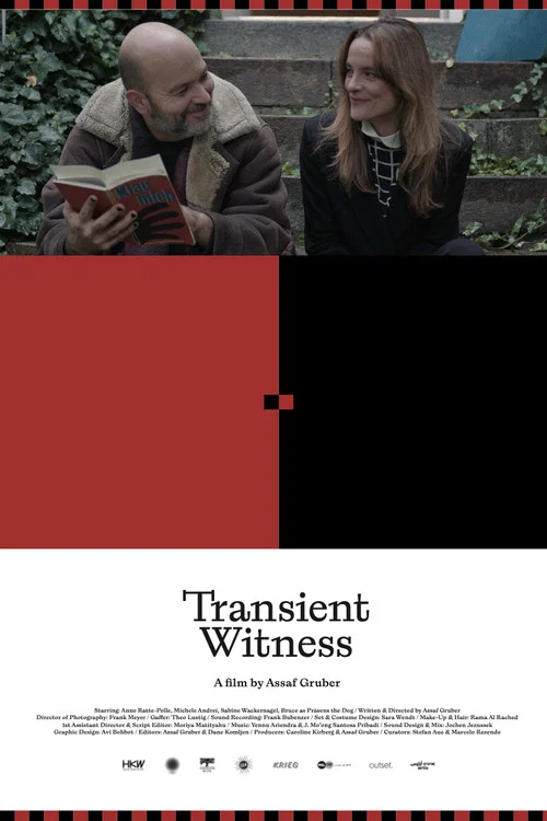 Постер: Transient Witness