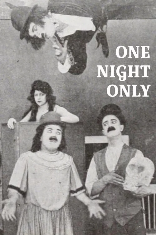 Постер: One Night Only