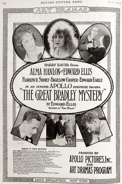 Постер: The Great Bradley Mystery
