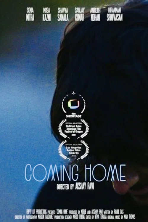 Постер: Coming Home