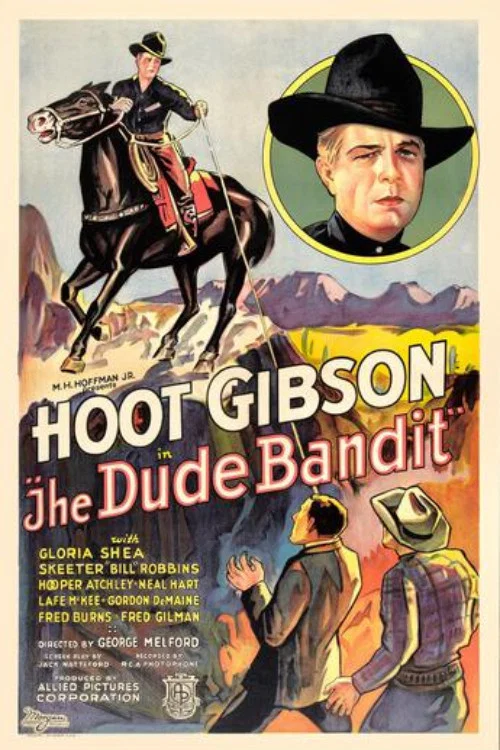 Постер: The Dude Bandit