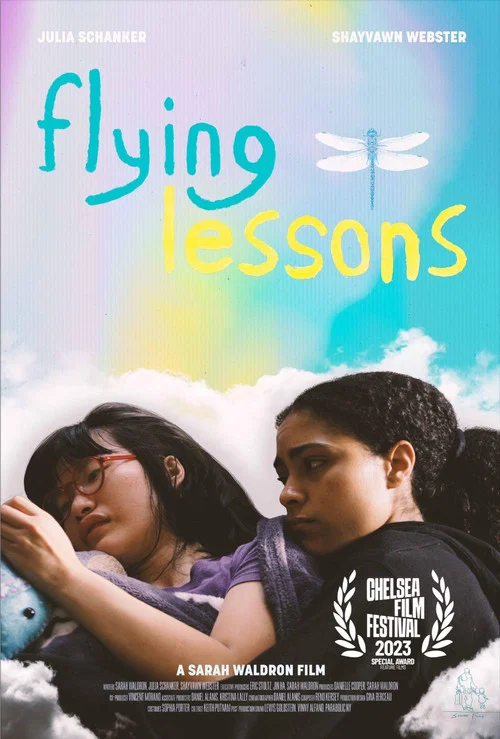 Постер: Flying Lessons