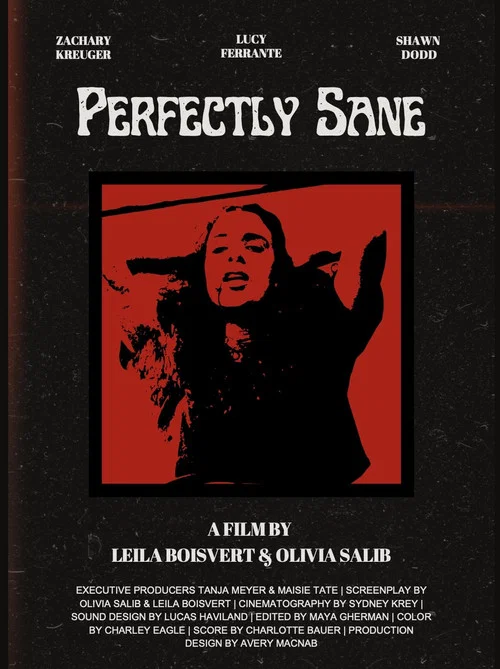 Постер: Perfectly Sane