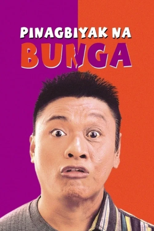 Постер: Pinagbiyak na bunga: Lookalayk