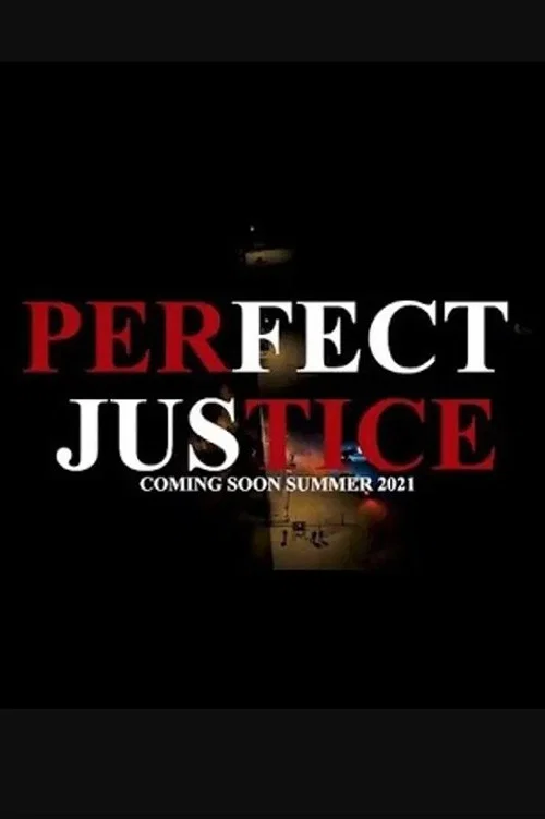 Постер: Perfect Justice