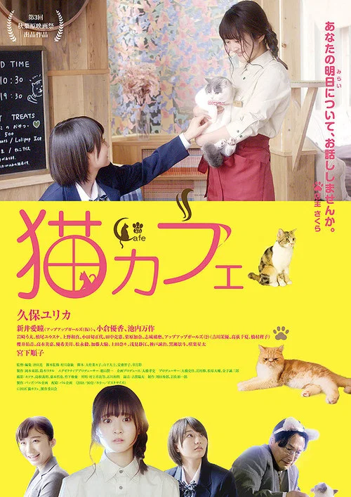 Постер: Cat Cafe