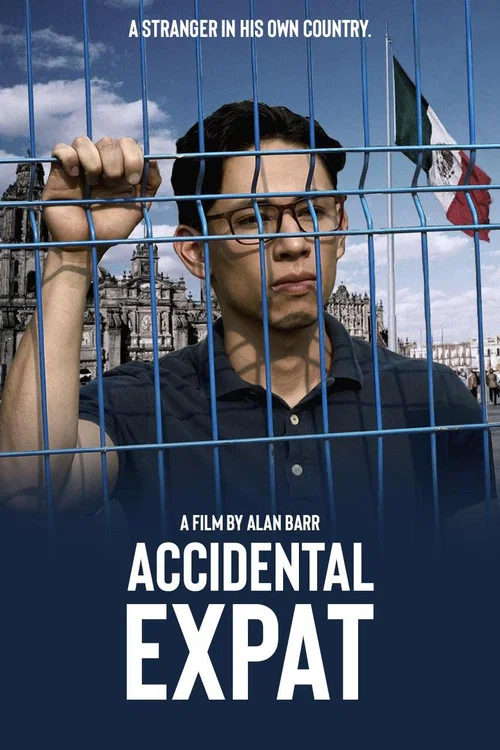 Постер: Accidental Expat
