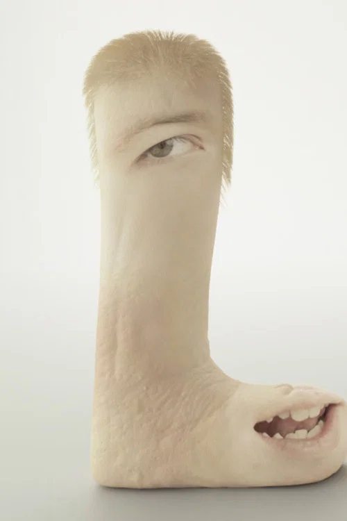 Постер: Human Flesh