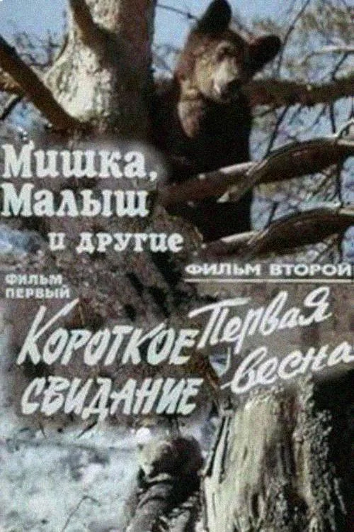 Постер: Мишка, Малыш и другие