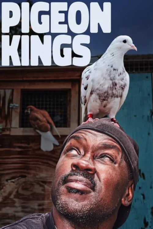 Постер: Pigeon Kings