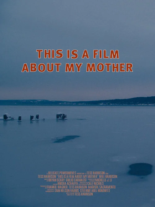 Постер: This Is a Film About My Mother