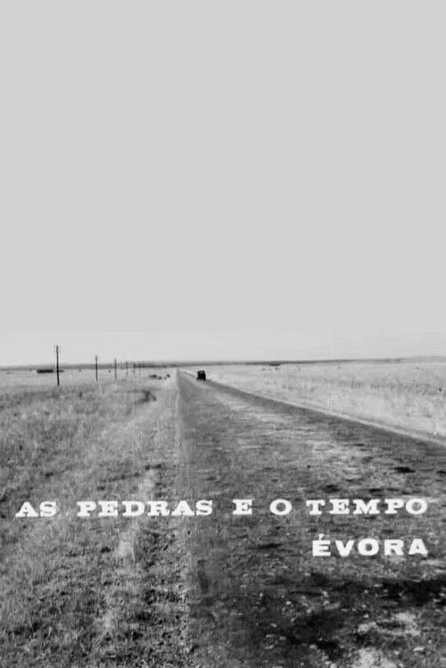 Постер: As Pedras e o Tempo