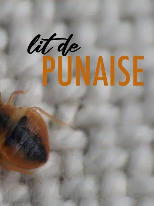 Постер: Lit de punaise
