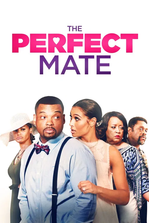 Постер: The Perfect Mate