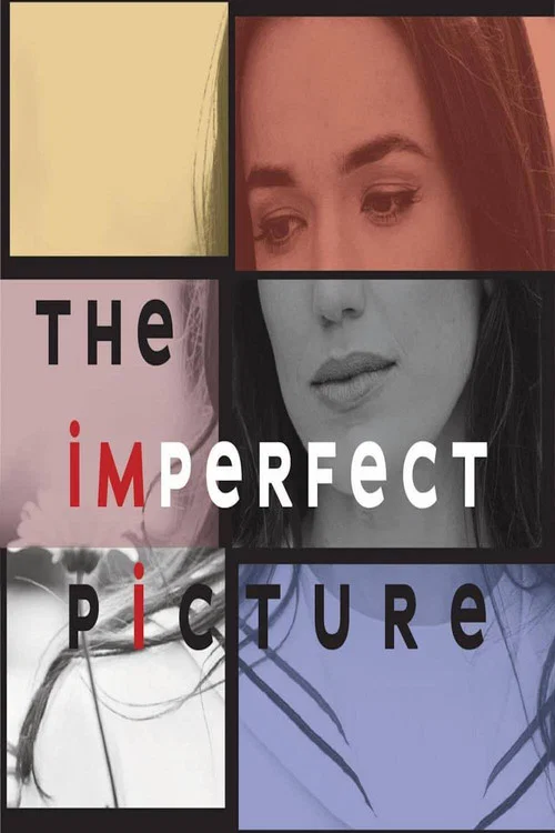 Постер: The Imperfect Picture