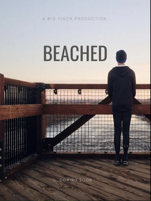 Постер: Beached