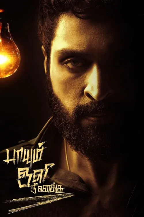Постер: Paayum Oli Nee Yenakku